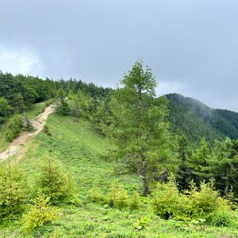 雲取山から来た道見返す