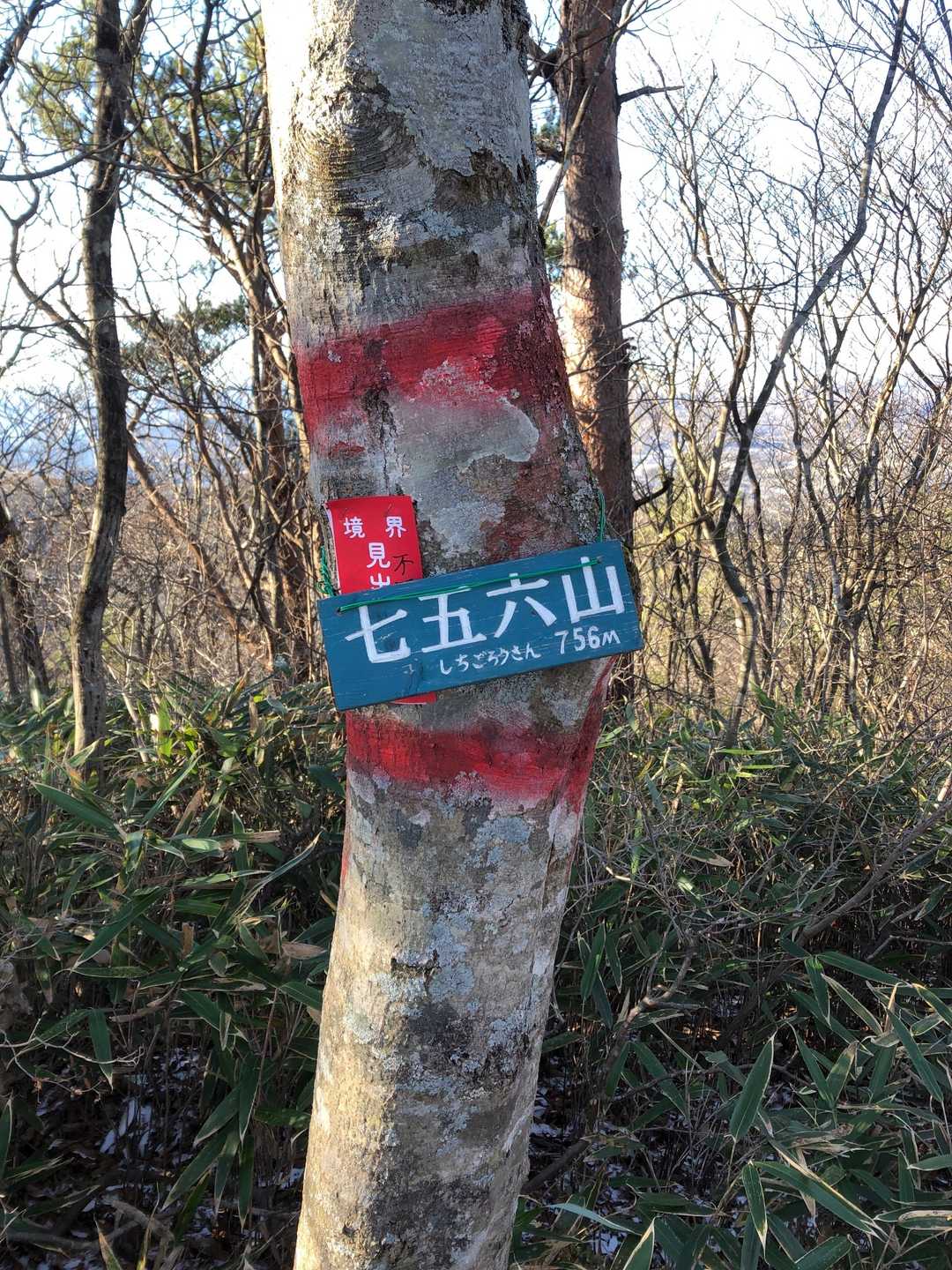 七五六山山頂。先程の展望台と異なり眺望はありません。