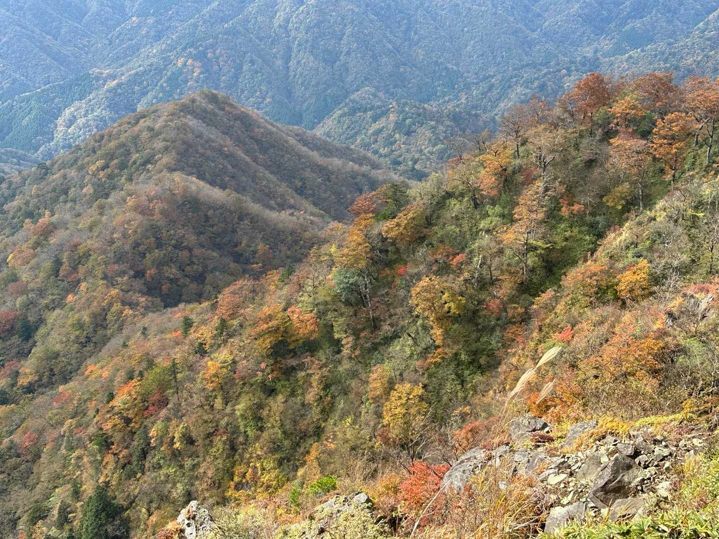 今日一番の景色。