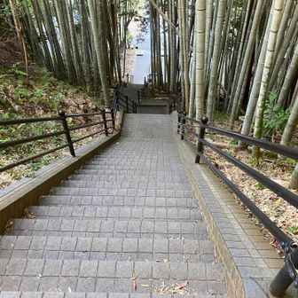 駐車場に戻ってきました