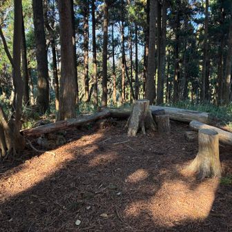 一旦、舗装道路に出た後、再度登山道へ。阿部倉山への登りはきつめ。登りごたえあり。山頂は眺望はないが、休憩可能。丸太に腰掛け、パンとインスタントコーヒーで栄養補給。私有地のため、バーナーなど火を使うことは出来ず。