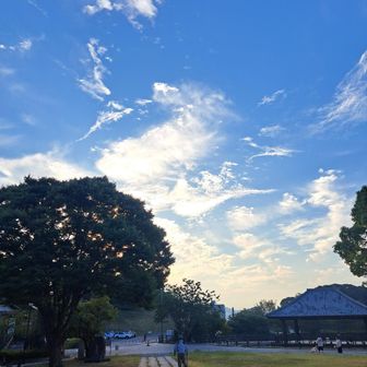 6:40終了～！ラジオ体操間に合わなかった