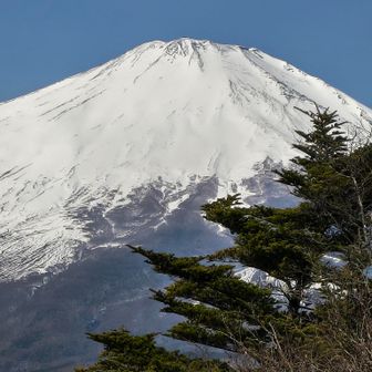 ちょっとアップで撮ってみた。
美しいね！
