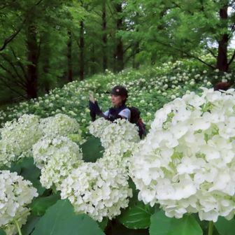  すねぼん