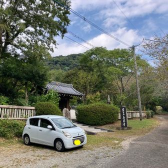 駐車場の善応寺。
心地良くとてもいい雰囲気だ。