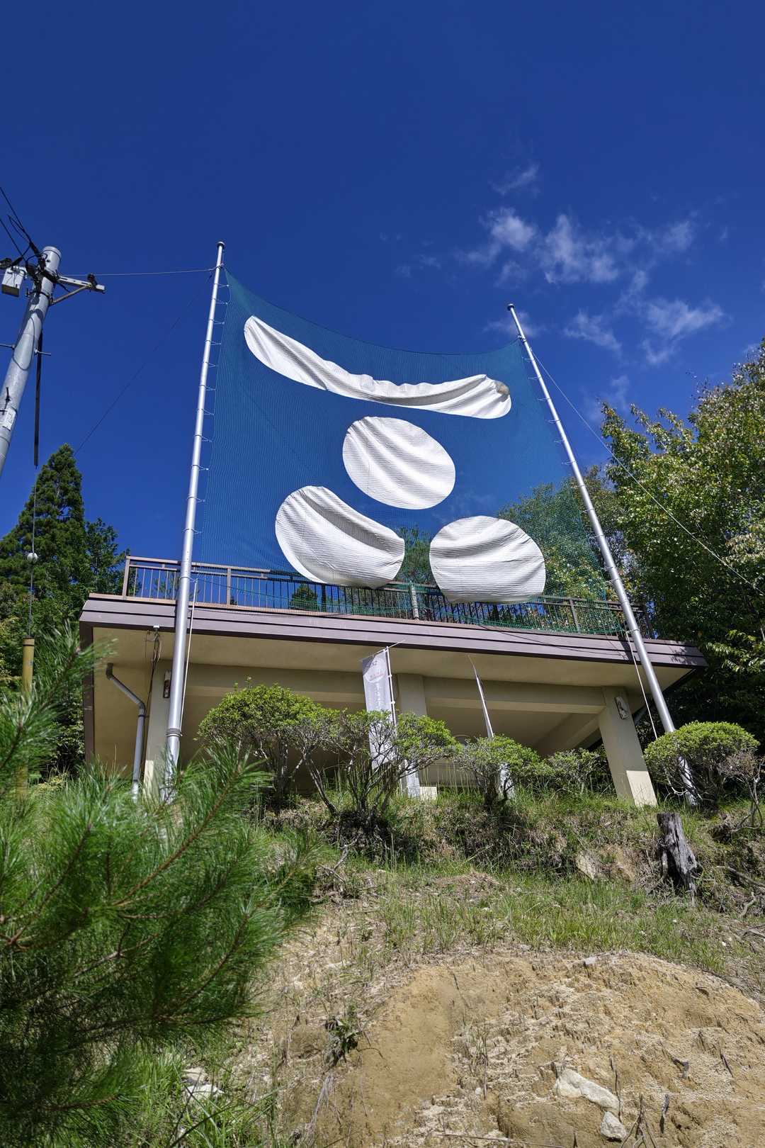 表側から📸