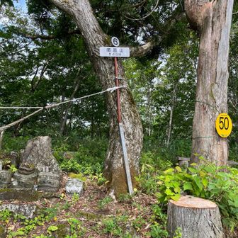 山頂848m
