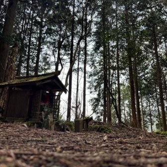 ここまでで登りはおしまい