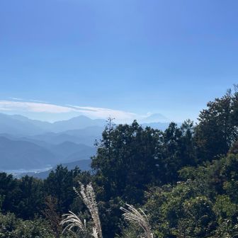景信山から📷奥に富士山