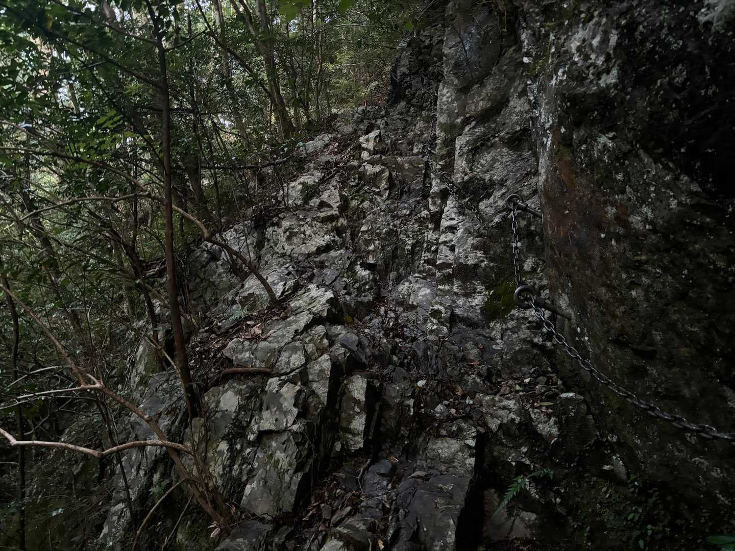 久しぶりで忘れてるけど、沢沿いの斜面をひたすら進んでいくのではなく、これもう岩登りコースですよね🤣
