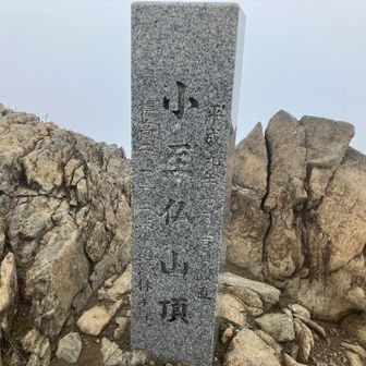 本当にみなさんサクッと何事もないかの如く活動日記をあげておられますが