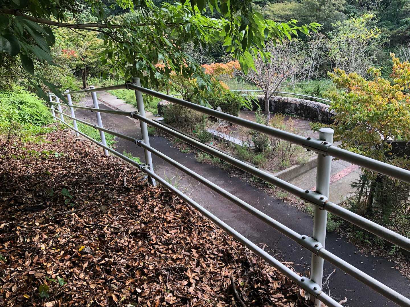牛内ダムに出てきました〜
この先がシダと倒木で塞がれていました。濡れそうで下までおりませんでしたが、行けなくもない感じです。