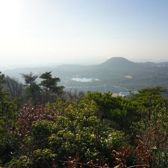 行者山ピーク付近