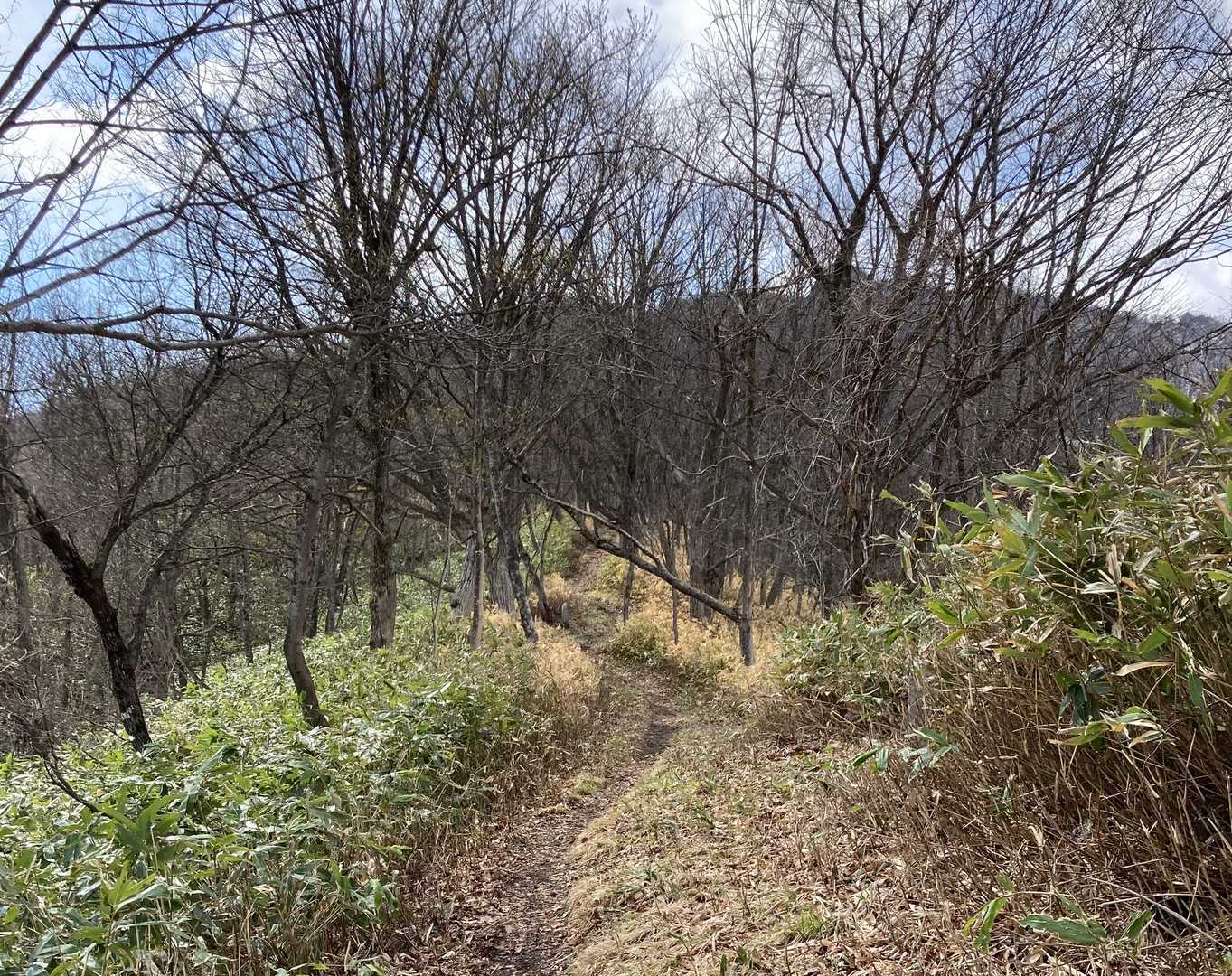 4月が高気温と小雨の記録を更新したらしく、この時期としては、残雪が少ない。