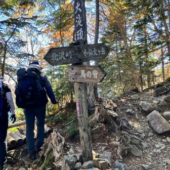渡渉を越え樹林帯を抜け、分岐の大滝の頭に到着。ここからは行きと同じコースで下山。
　3033mの澄み切った空気を胸いっぱい吸い込み念願のアルプスデビューを果たしました。