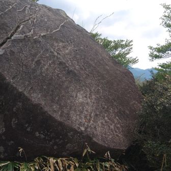 この岩の上では舞えんとちがう？