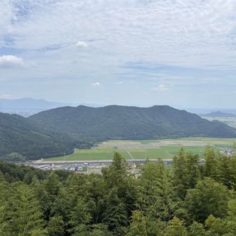 眼下に東海道新幹線🚅が走ってます