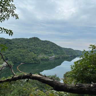 ダムの周りを走ってから山に入りました🏃🏼🏃🏻‍♀️🏃🏻‍♂️