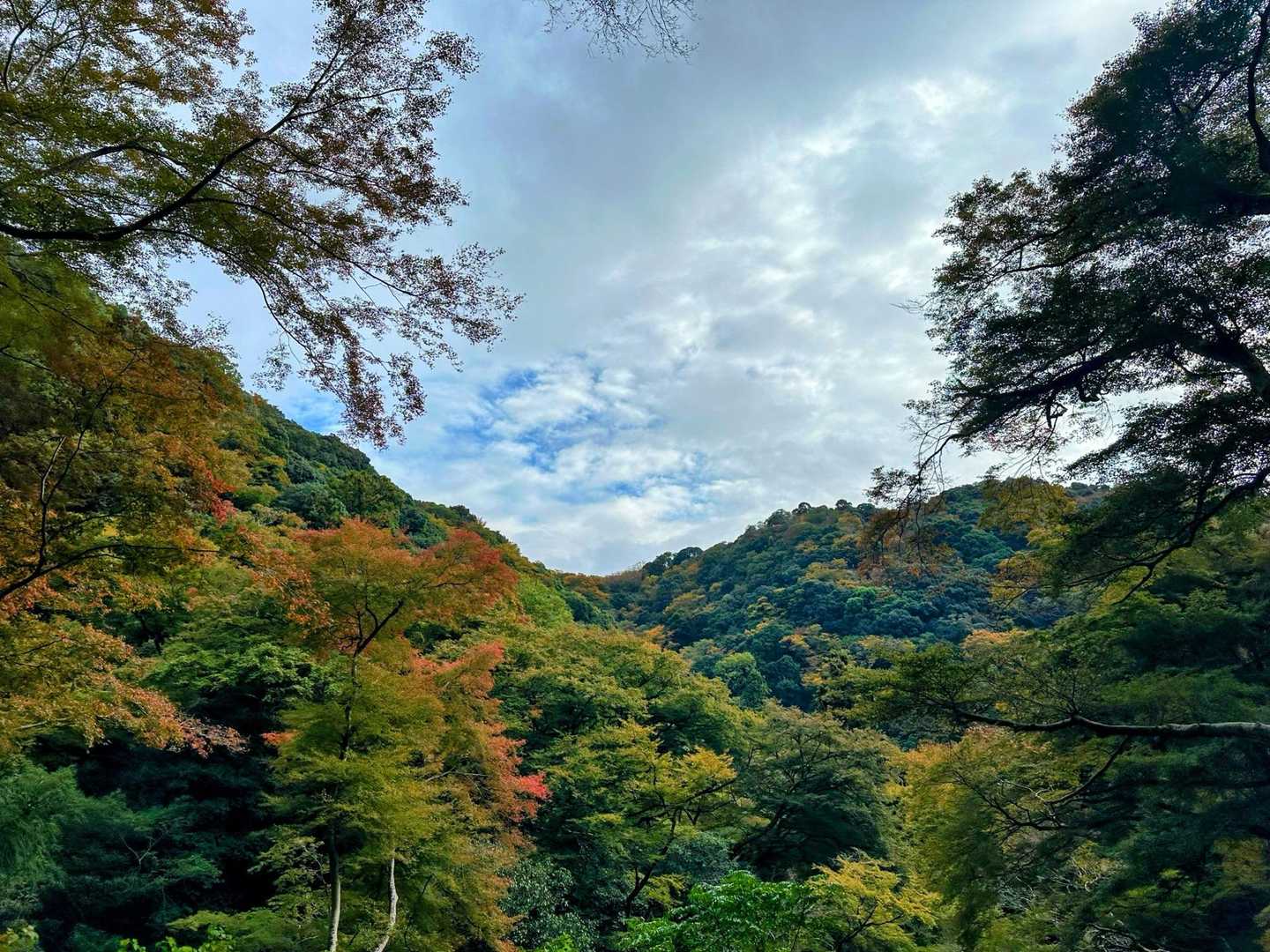 瀧安寺-石子詰登山口-箕面山 往復コースの写真