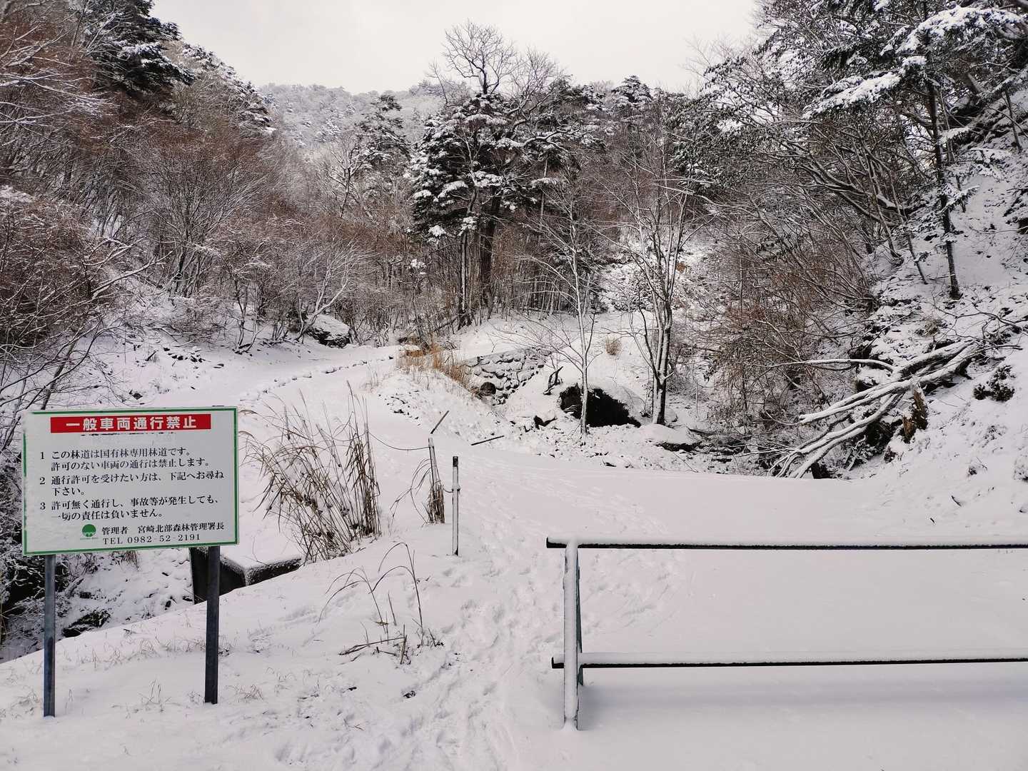 足跡👣を辿ってコッチの登山道にやって来ました。元旦に下った登山道です🚶‍♀️『ツウちゃん新道』は誰も通っていなかったのでコッチで正解️⭕️ラッセルしなくて済みました🤭