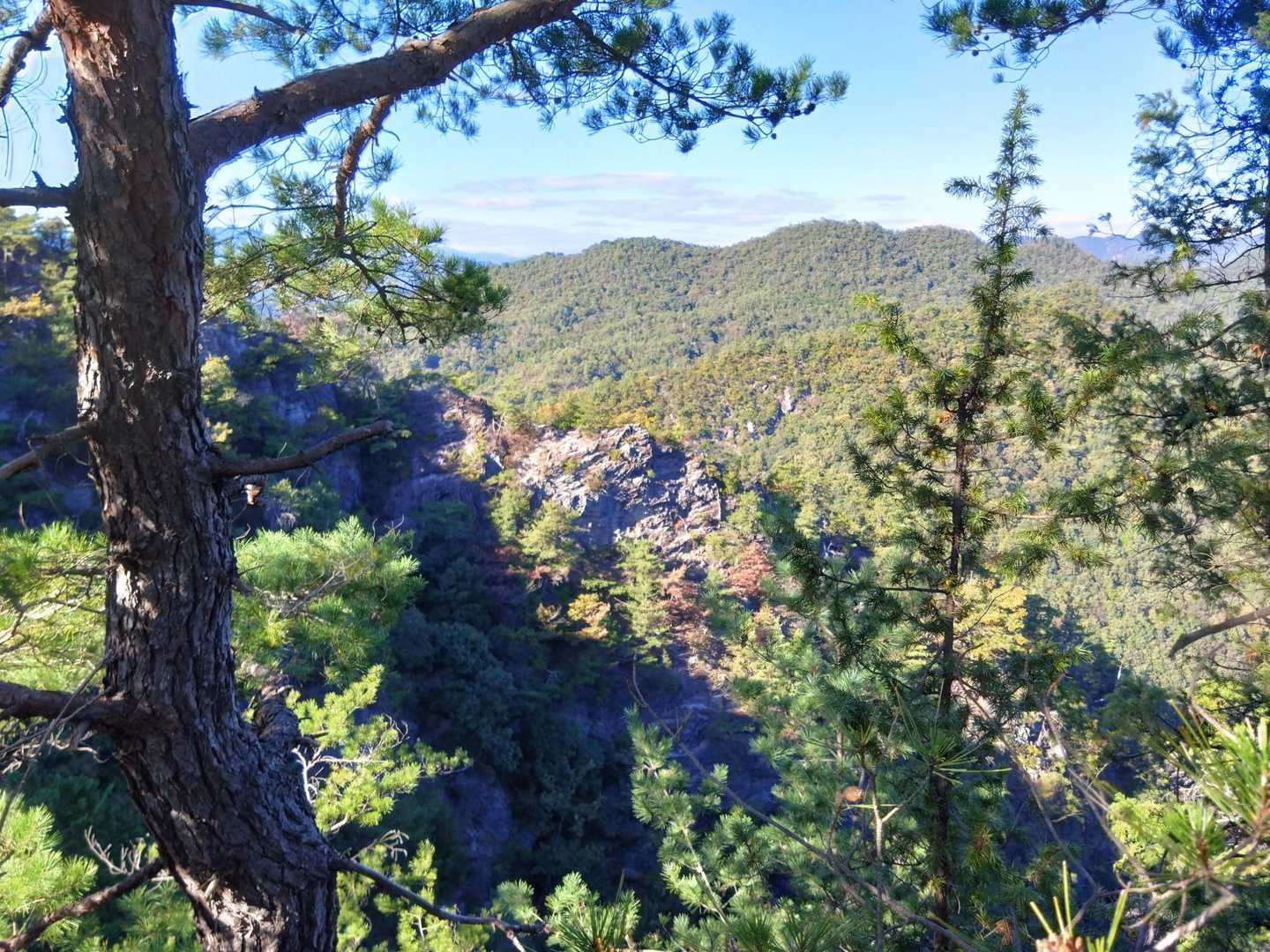 みのかも健康の森登山口-高木山登山口-高木山 往復コースの写真