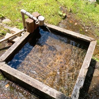 湧き水？が冷たくて気持ちいい💧