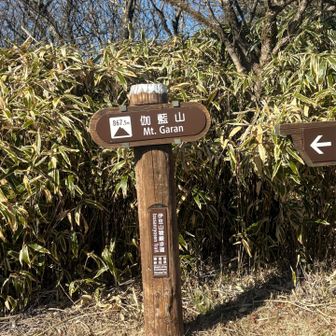 道路脇に山頂があるなんて🫢