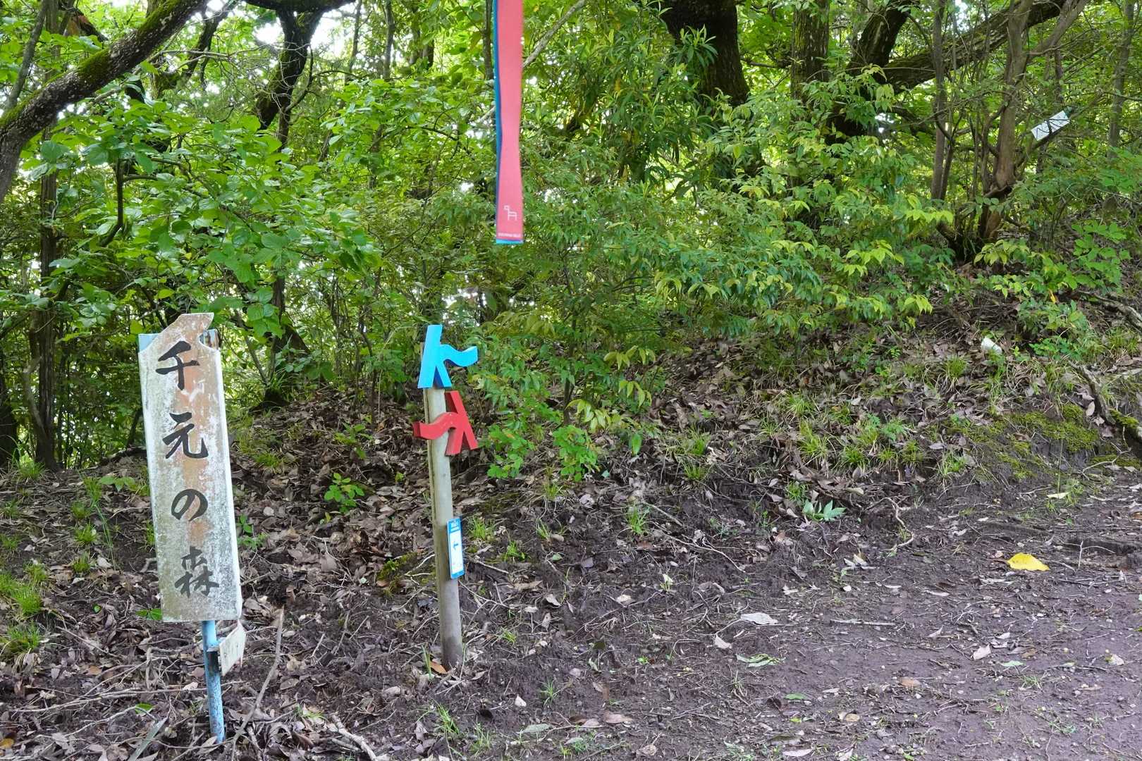 山と山を繋ぐ舗装林道を歩いて登山口。