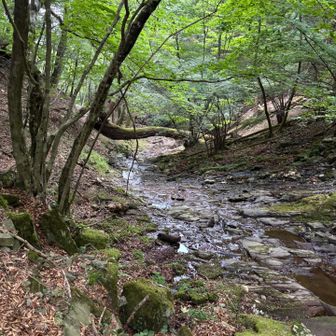 そろそろ(やっと)
恐ヶ淵ルートから下山です。

「恐ヶ淵」。
なんだか不穏な予感がしませんか〜😱