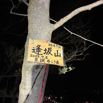 古典に出てきそうなオーサカ山。