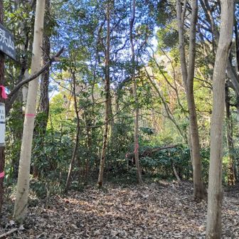 見張山東峰を通過。