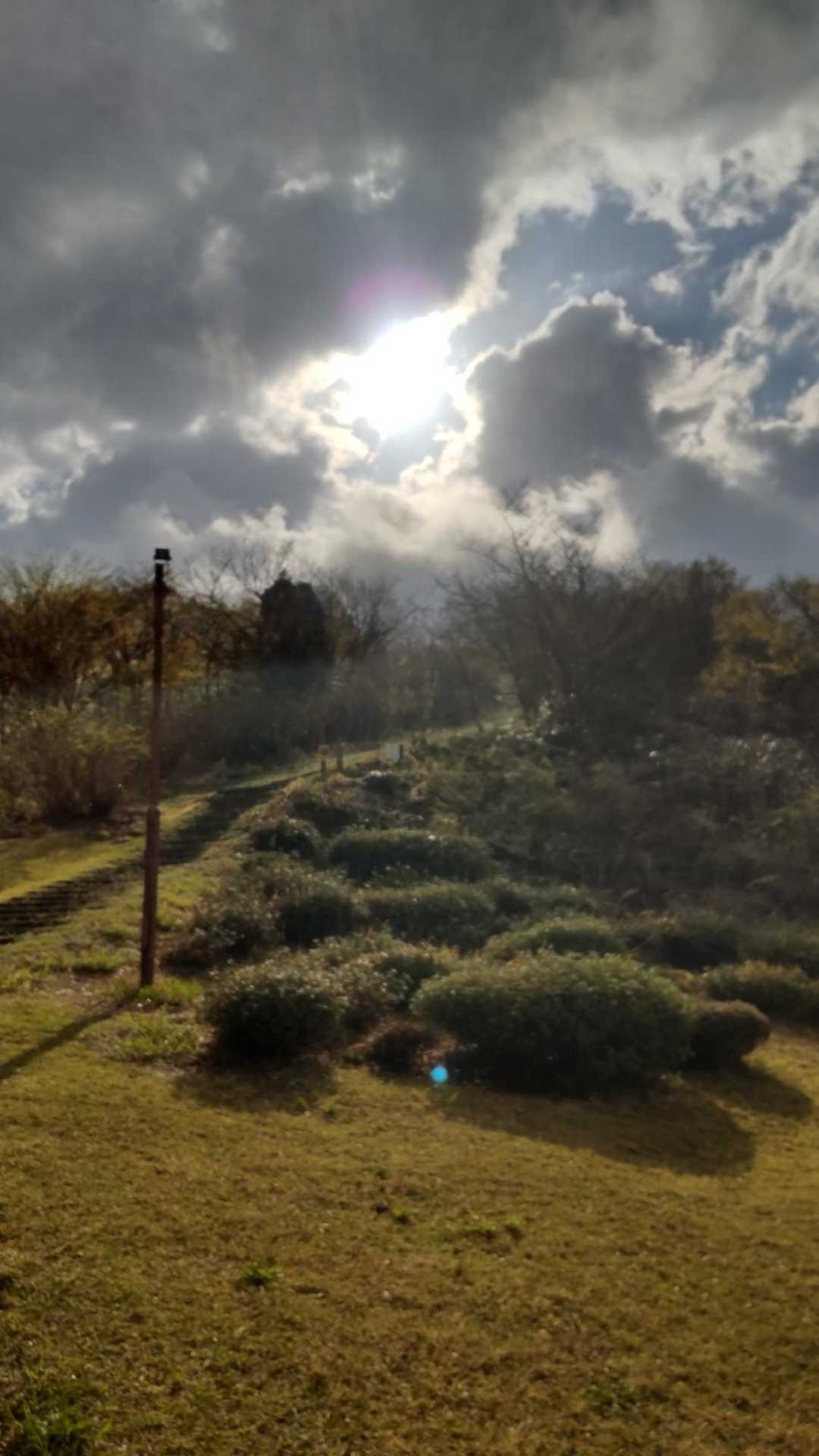 今日は先週より天気良いかな🎵