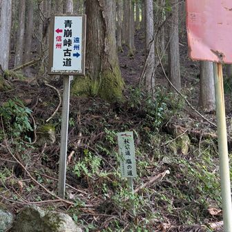 登山道　上り口