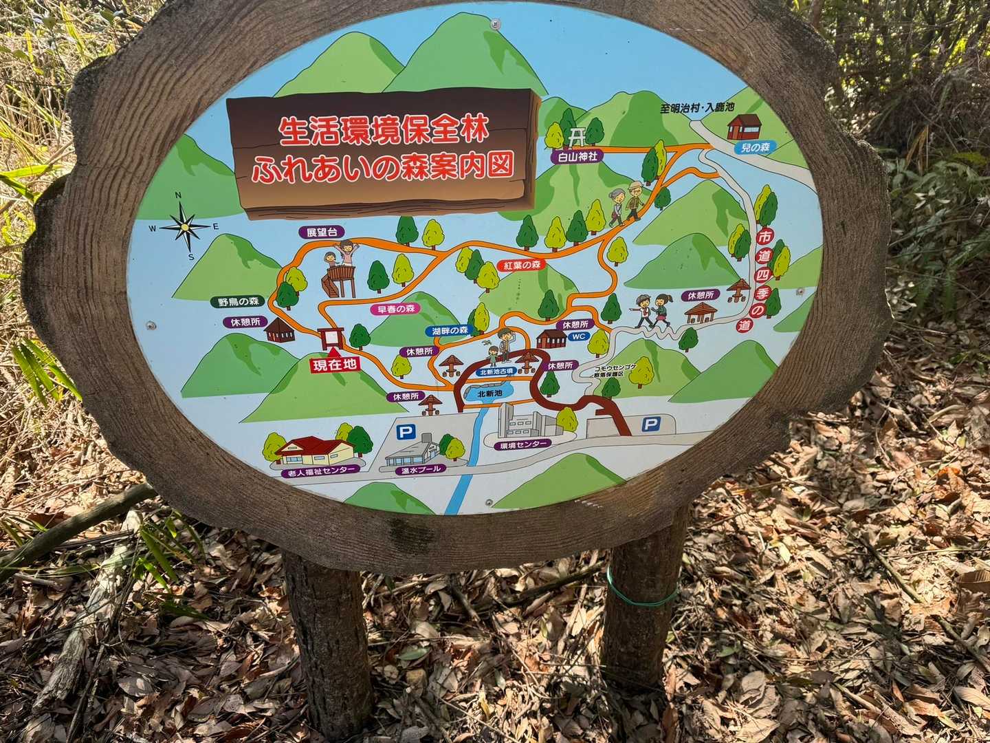 ふれあいの森入口-尾張白山 周回コースの写真