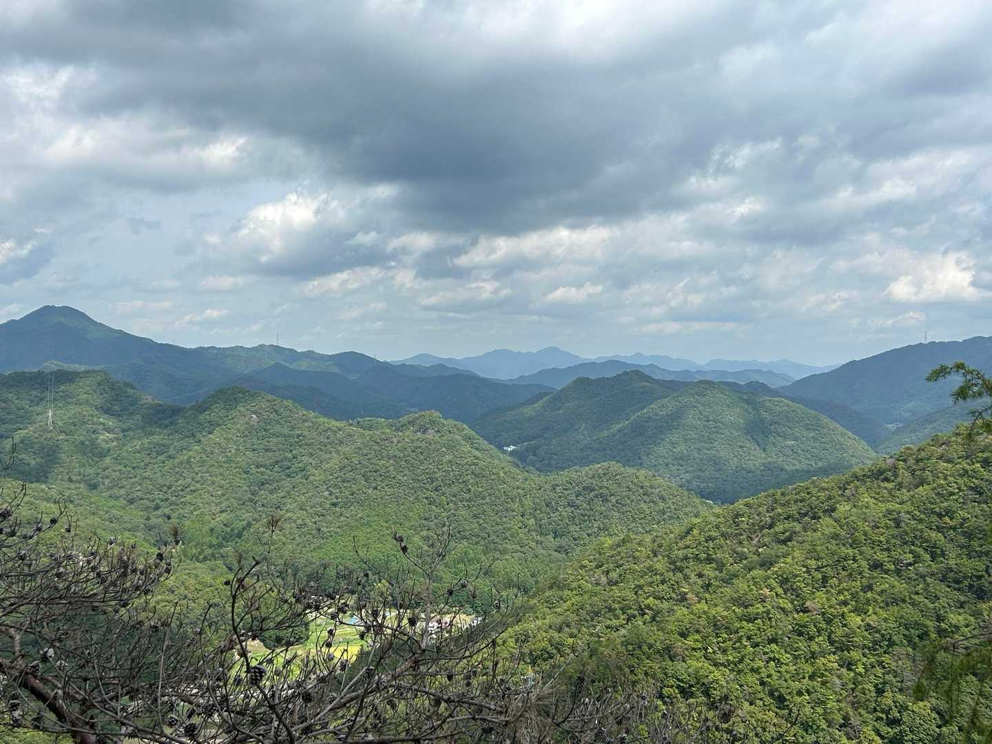藍本駅-虚空蔵山登山口-虚空蔵山-八王子山-大谷山-草野駅 縦走コースの写真