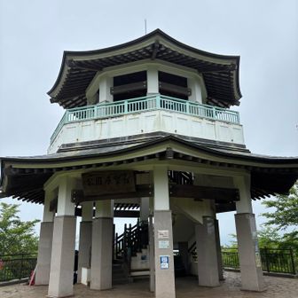 権現山にもヤマビルが😱