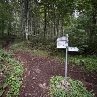 時計周りの縦走で武尊山へ
