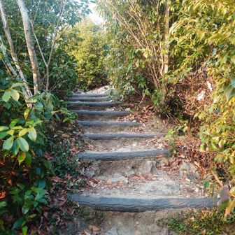 この階段踏み面が高くて大変でした。🥵😅