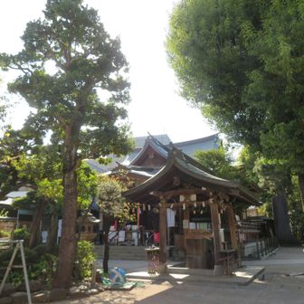 ベンチに座って少し休憩。境内は近所の子どもたちの遊び場になっているようでした。