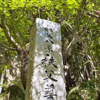 滝の入り口
🍁はまだ緑色
