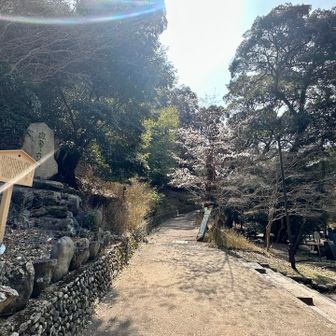 綺麗に整備された道だ