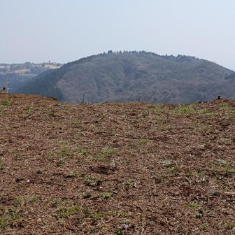 「第六天」とは比叡山焼き討ちをした織田信長が自らを「第六天魔王」と自認していた。神仏を否定したり妨害する怖い魔王🔥