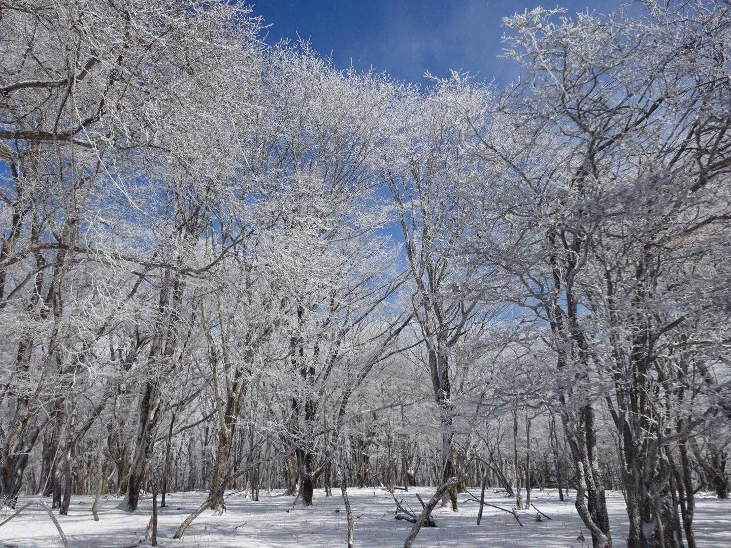 絶景のスノーハイク〜最高です。