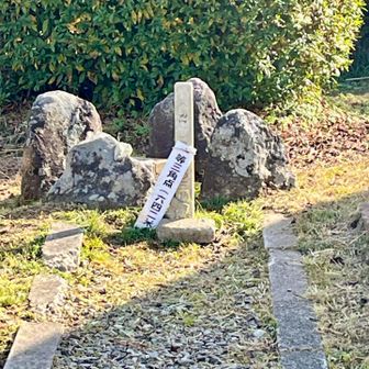 タッチできません、、