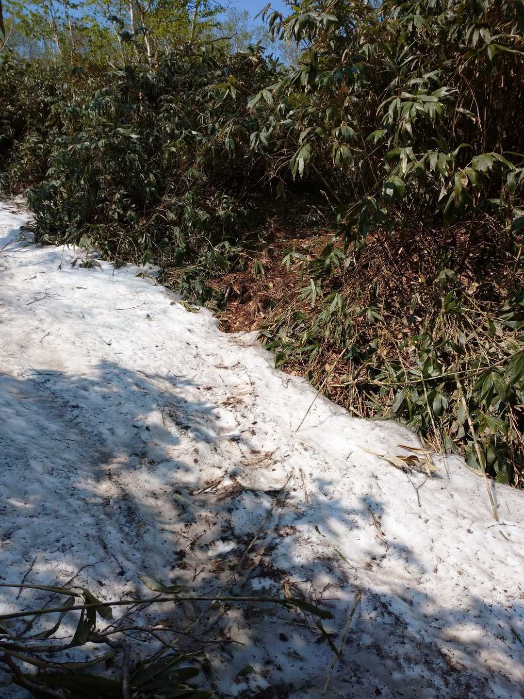 所々にまだ雪残っていて涼しい