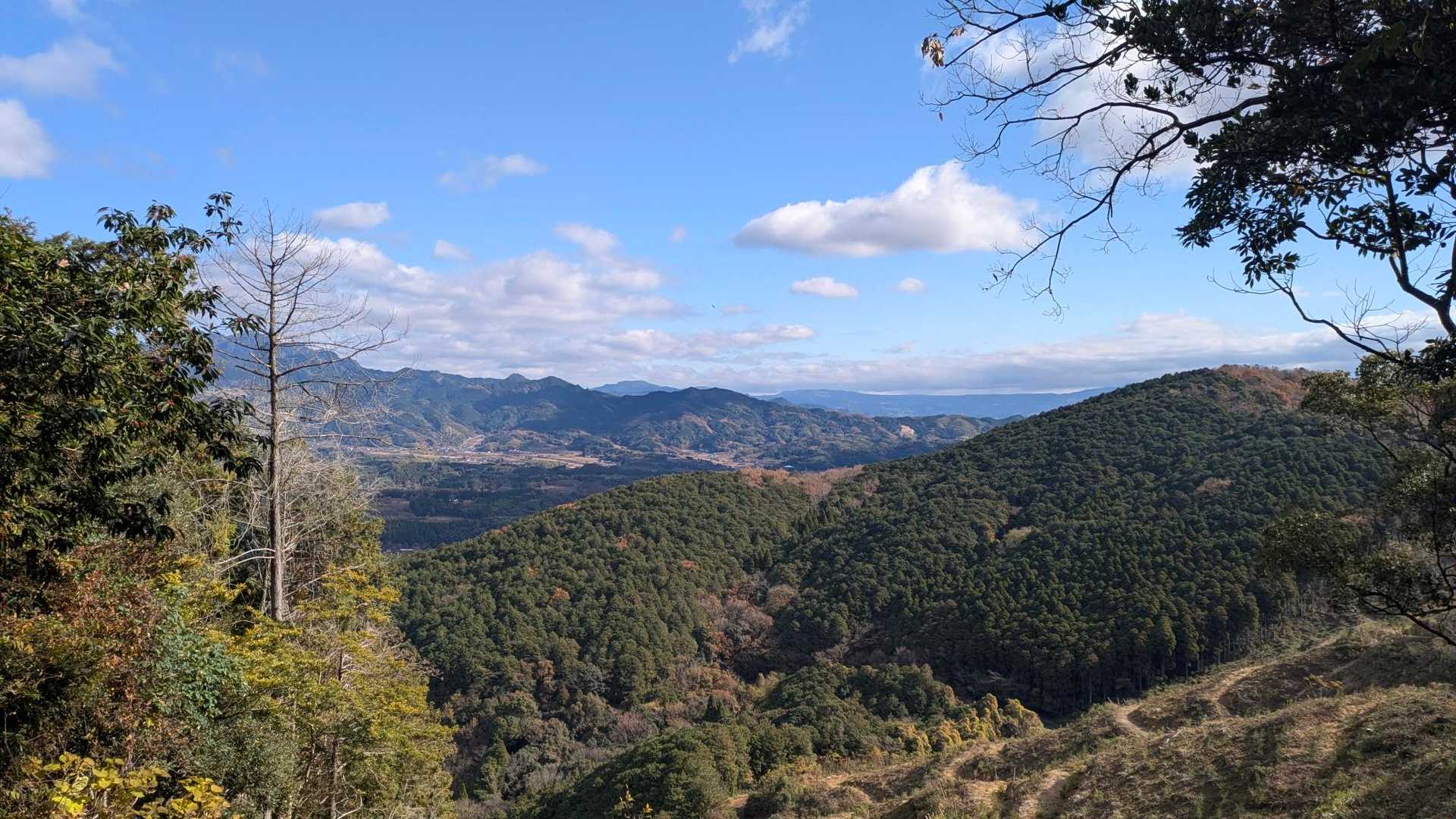 これから蒲生山まで急登になります