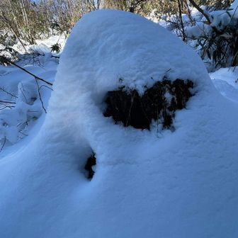 登山口のお帰りの像？