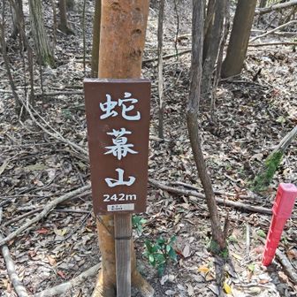 蛇幕山 242m
この山の下には新幹線🚄のトンネルが通ってます