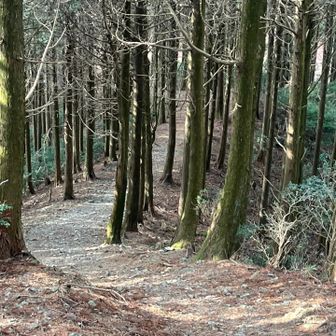 展望台へあと少し、お腹が減ってきました。