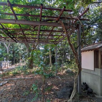 ここが堂塔寺山か